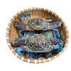 Ghẹ biển size đại (2-4 con/kg)