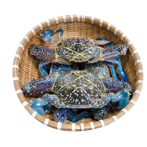Ghẹ biển size đại (2-4 con/kg)