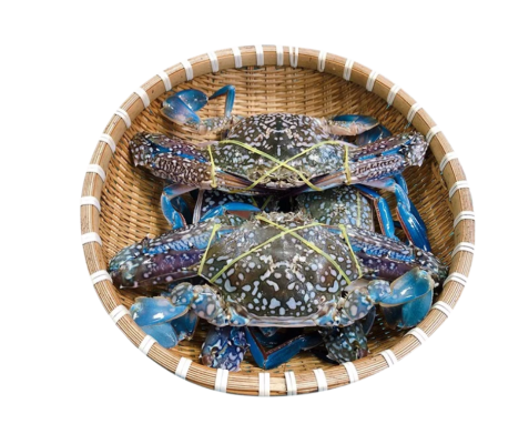 Ghẹ biển size đại (2-4 con/kg)