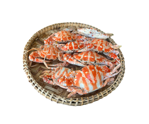 Ghẹ biển hấp nước dừa