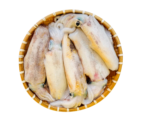 Mực lá tươi loại 1