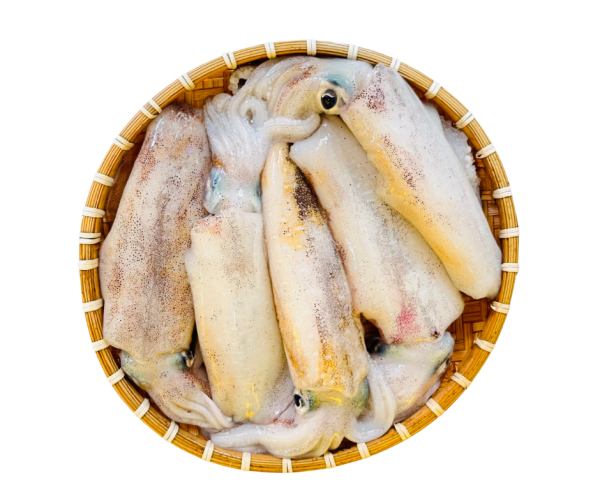 Mực lá tươi loại 1