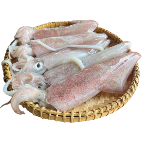 Mực ống tươi loại 1