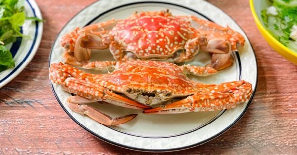 Ghẹ biển size đại (2-4 con/kg) - Hình ảnh 5