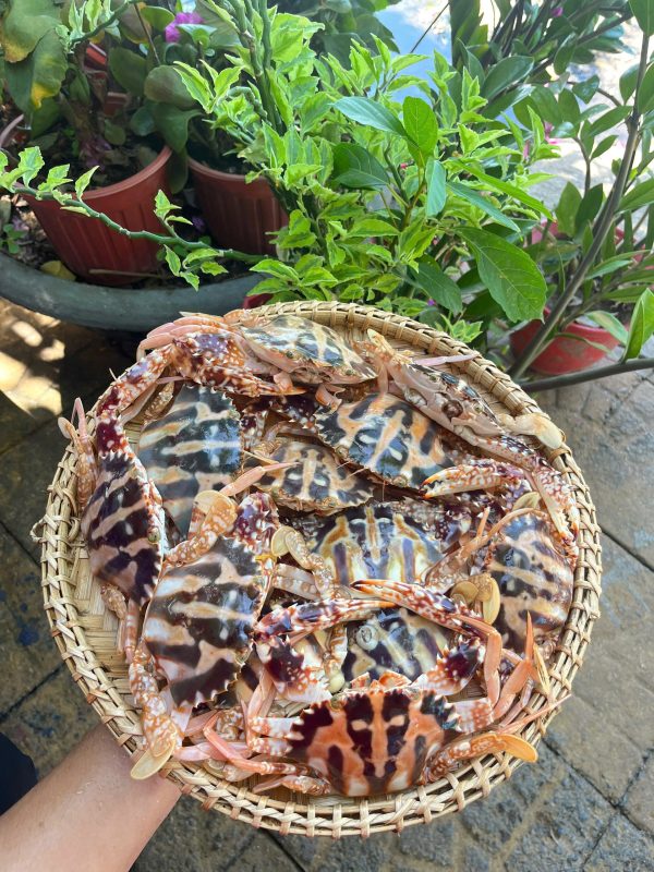 Ghẹ biển hấp nước dừa - Hình ảnh 2