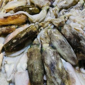 Mực lá tươi - loại 1