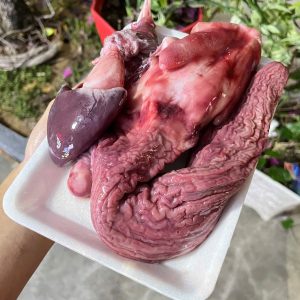 Bao tử cá ngừ đại dương