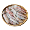 Mực ống tươi – Loại 3