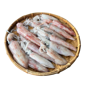 Mực ống tươi – Loại 3