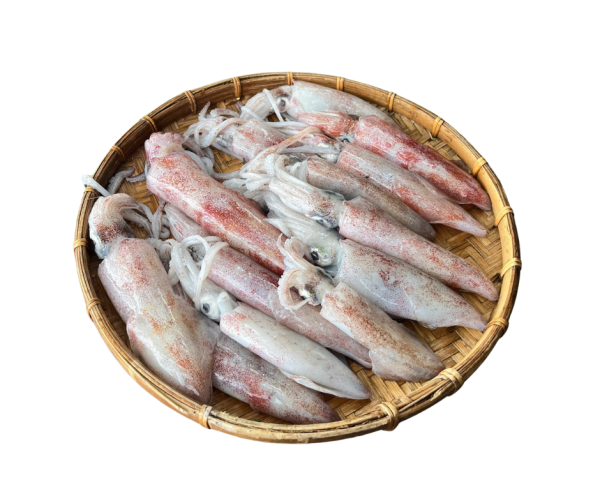 Mực ống tươi – Loại 3
