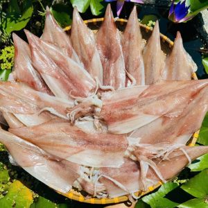 Mực 1 nắng dẻo