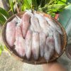 Mực ống Mino size 1kg (16-20 con)