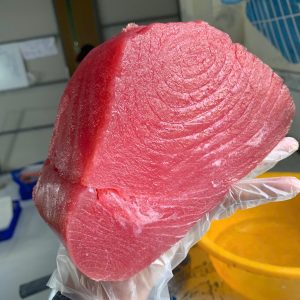 Cá Ngừ Đại Dương Vip